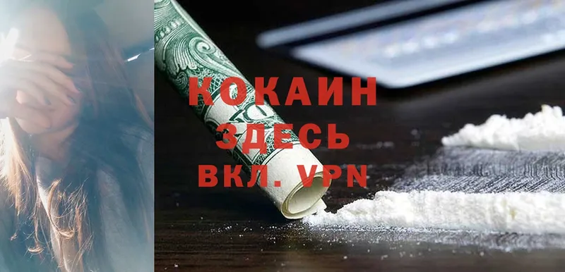 Cocaine FishScale  Камышлов 